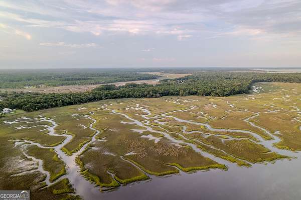 11.7 Acres of Land for Sale in Woodbine, Georgia