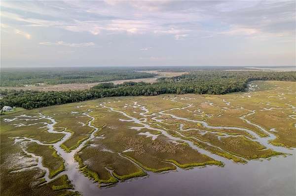 11.7 Acres of Land for Sale in Woodbine, Georgia