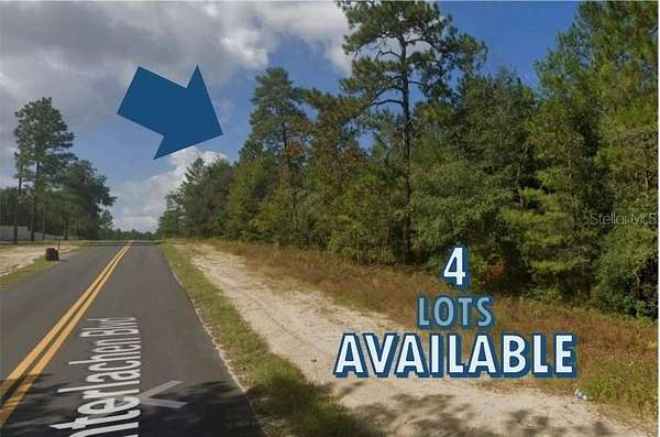 0.23 Acres of Residential Land for Sale in Interlachen, Florida
