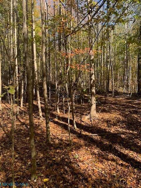 17.3 Acres of Land for Sale in Gloucester, Virginia