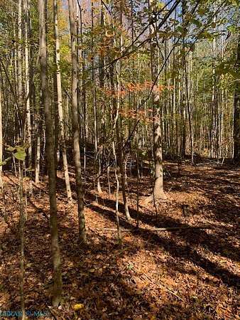 17.3 Acres of Land for Sale in Gloucester, Virginia