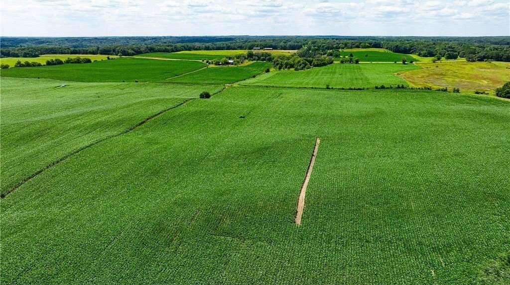 35 Acres of Agricultural Land for Sale in May Township, Minnesota