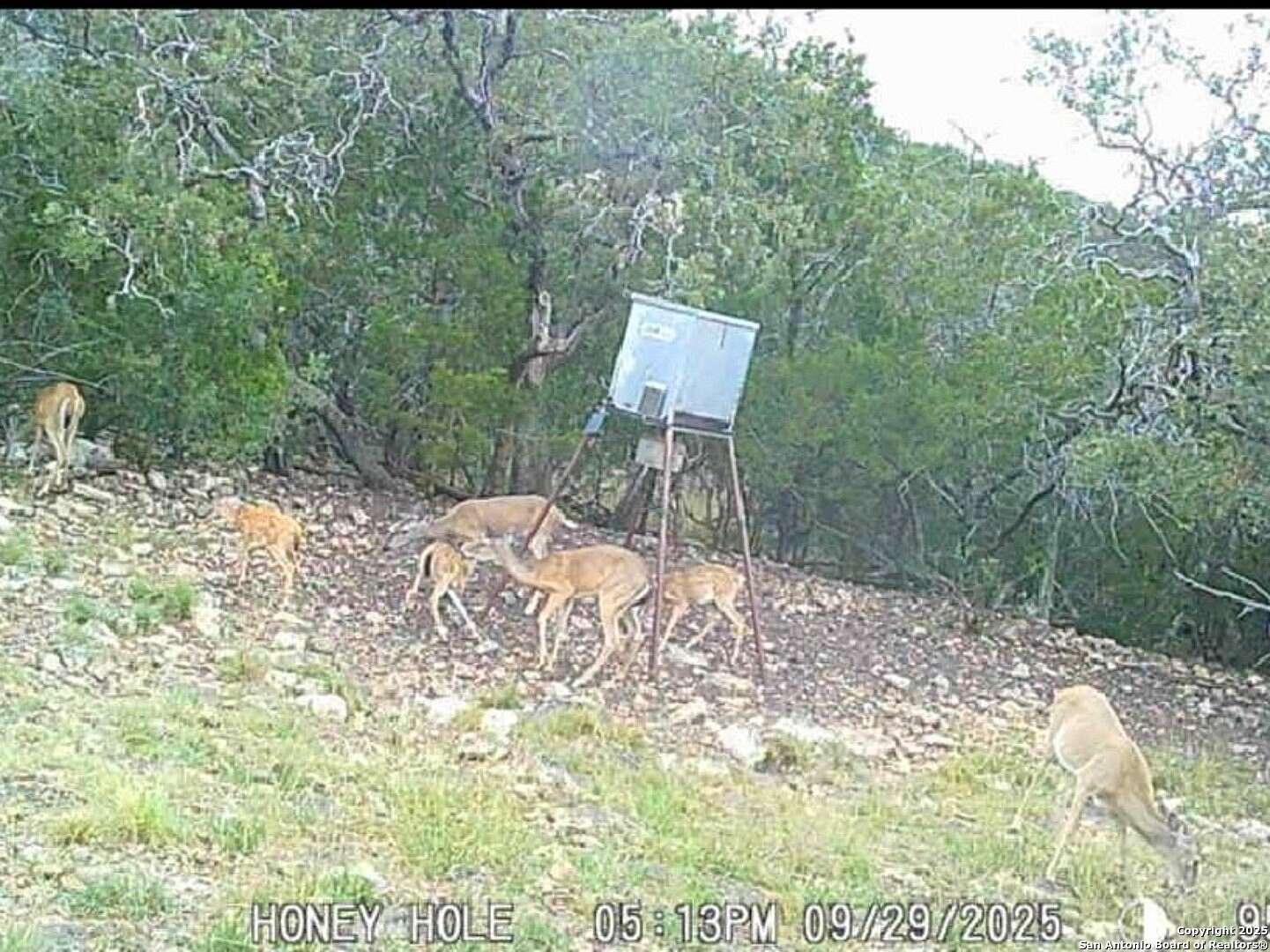 72.5 Acres of Land with Home for Sale in Rocksprings, Texas