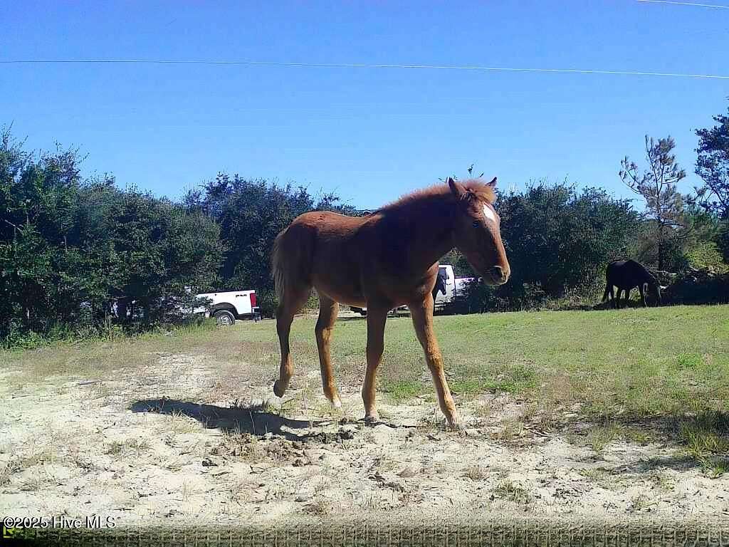 0.36 Acres of Residential Land for Sale in Corolla, North Carolina