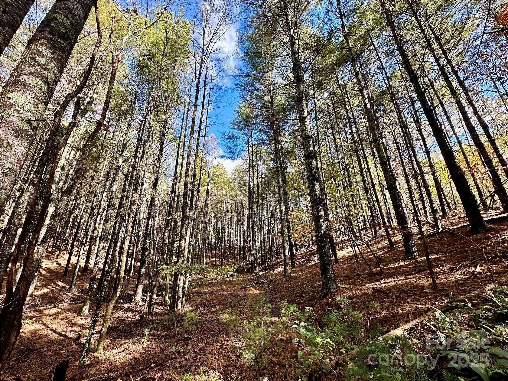 4.34 Acres of Residential Land for Sale in Nebo, North Carolina