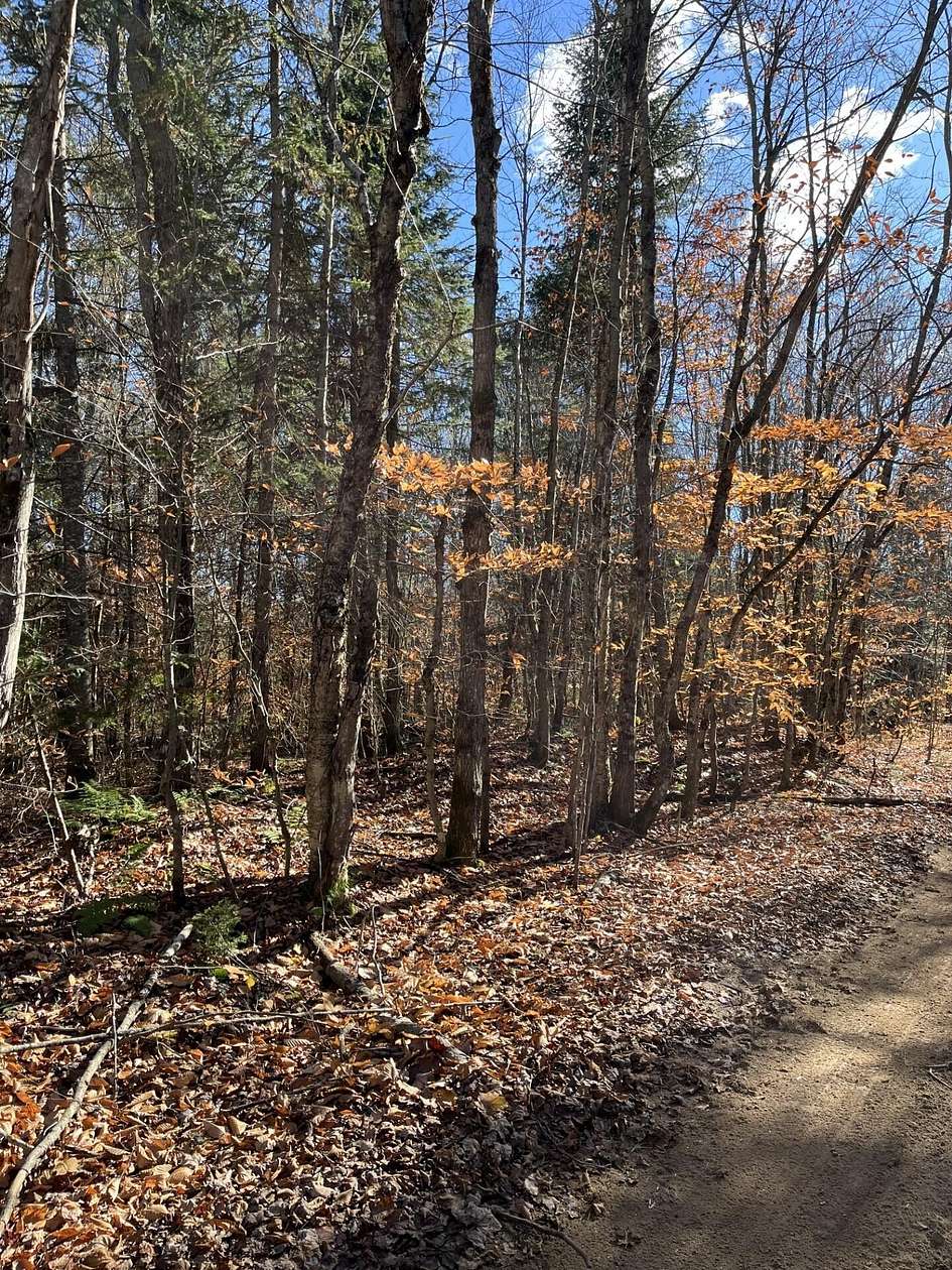 8 Acres of Residential Land for Sale in Newberry, Michigan