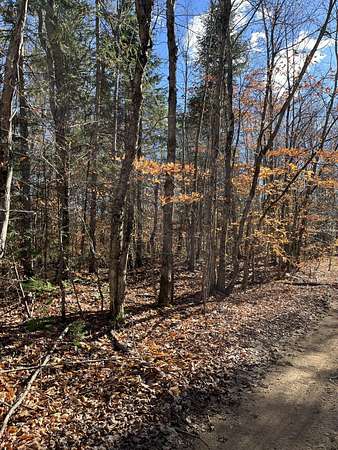 8 Acres of Residential Land for Sale in Newberry, Michigan