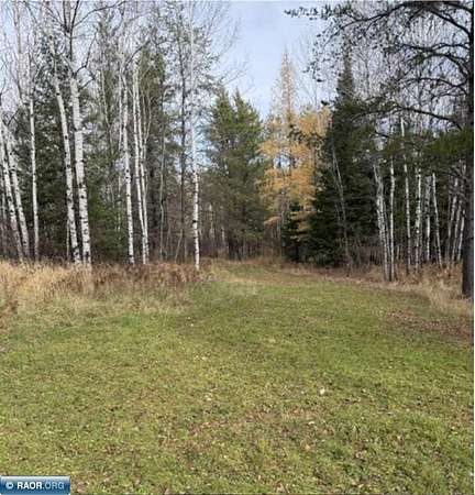 40 Acres of Recreational Land for Sale in Aurora, Minnesota