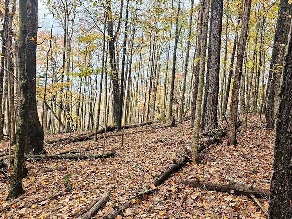 3.35 Acres of Residential Land for Sale in Galax, Virginia