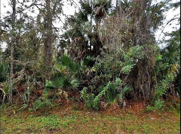 0.23 Acres of Residential Land for Sale in North Port, Florida