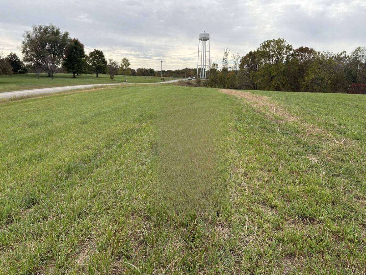 75.8 Acres of Recreational Land & Farm for Sale in Knifley, Kentucky