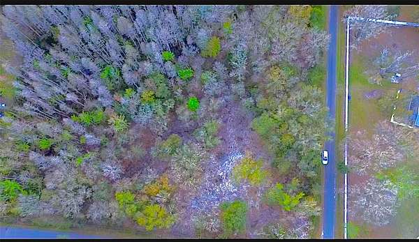 4.38 Acres of Residential Land for Sale in Thonotosassa, Florida