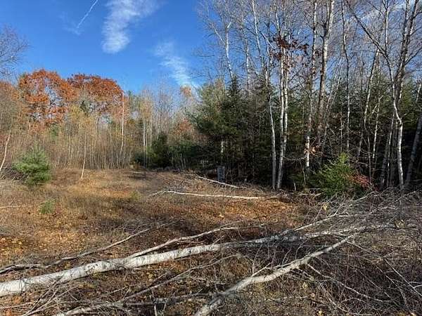 2 Acres of Land for Sale in Washington, Maine