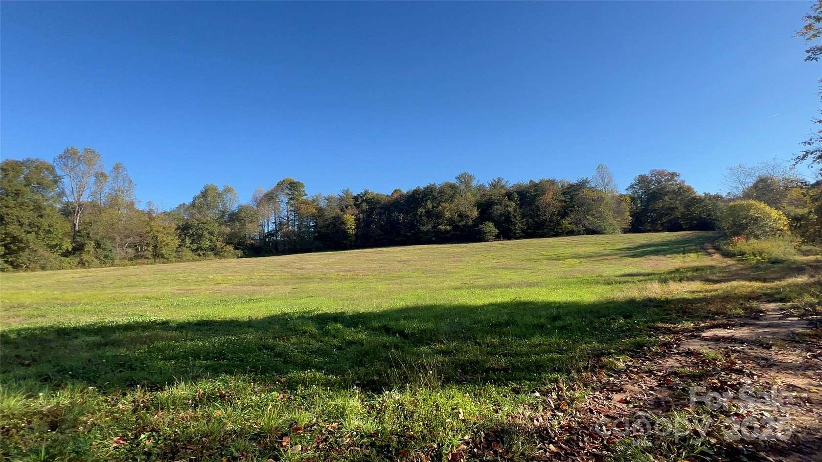 20 Acres of Recreational Land for Sale in Taylorsville, North Carolina