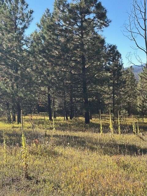 2 Acres of Land for Sale in Pecos, New Mexico