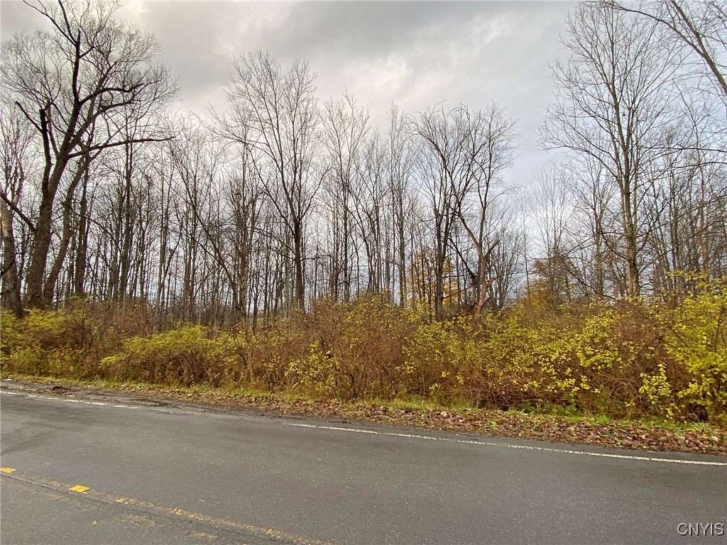 15.3 Acres of Land for Sale in New Hartford, New York