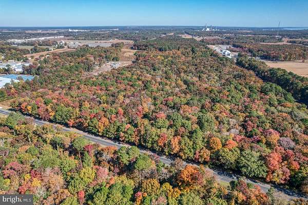 20.2 Acres of Land for Sale in Dagsboro, Delaware
