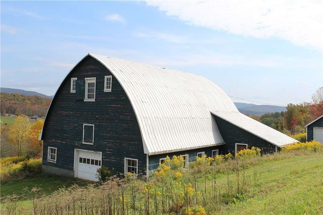 15.6 Acres of Land with Home for Sale in Roxbury, New York