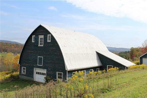 15.6 Acres of Land with Home for Sale in Roxbury, New York