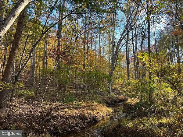 50 Acres of Recreational Land for Sale in Marshall, Virginia