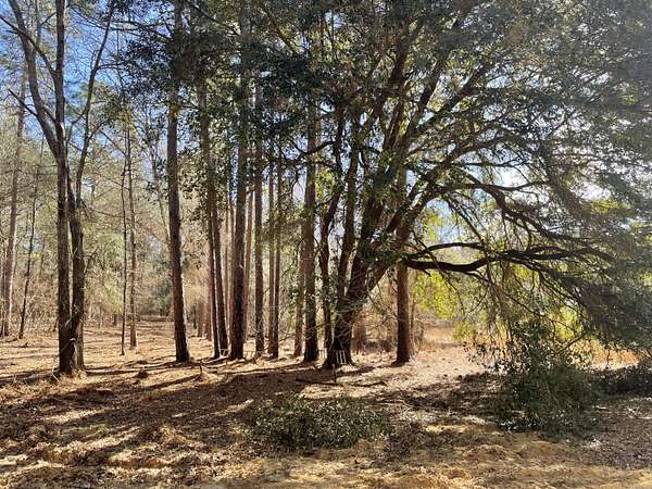40.9 Acres of Improved Land for Sale in Aiken, South Carolina