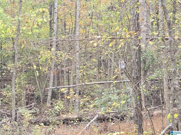 1 Acre of Residential Land for Sale in Moody, Alabama