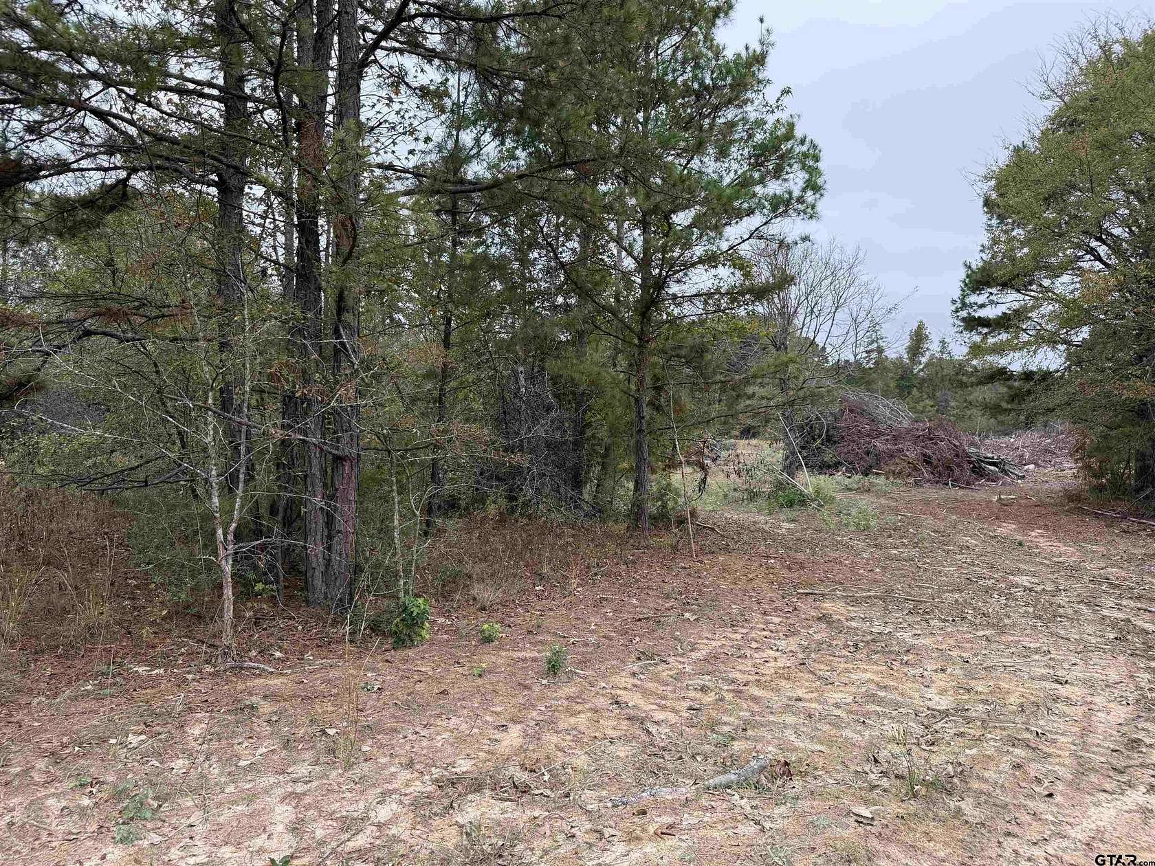 16.5 Acres of Land for Sale in Henderson, Texas