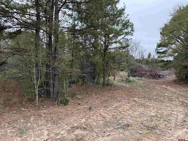 16.5 Acres of Land for Sale in Henderson, Texas