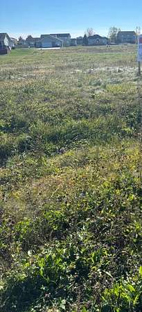 0.25 Acres of Land for Sale in Davis Junction, Illinois