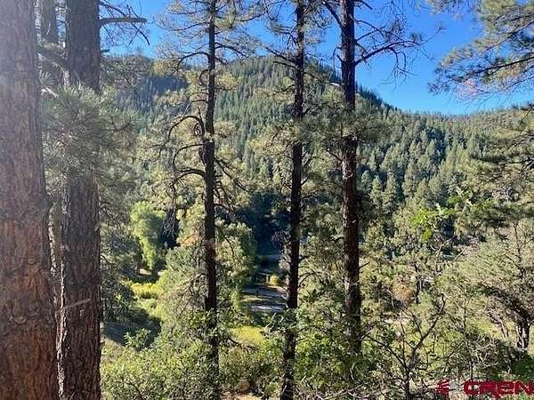 45 Acres of Land for Sale in Bayfield, Colorado