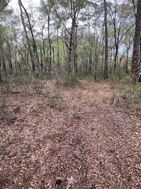 1.16 Acres of Residential Land for Sale in Webster, Florida