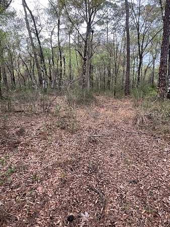 1.16 Acres of Residential Land for Sale in Webster, Florida