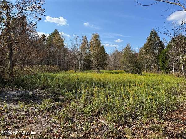 5 Acres of Residential Land for Sale in Starke, Florida