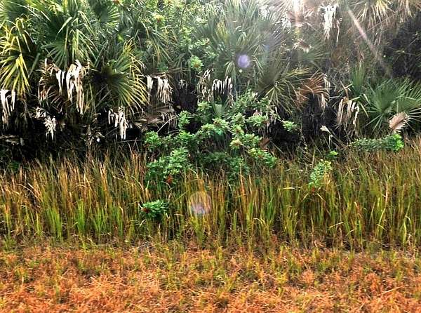 0.23 Acres of Residential Land for Sale in North Port, Florida