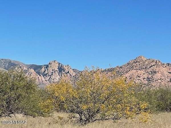 45.3 Acres of Recreational Land for Sale in St. David, Arizona