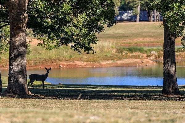 0.32 Acres of Residential Land for Sale in Fredericksburg, Texas