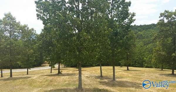 2 Acres of Residential Land for Sale in Cedar Bluff, Alabama