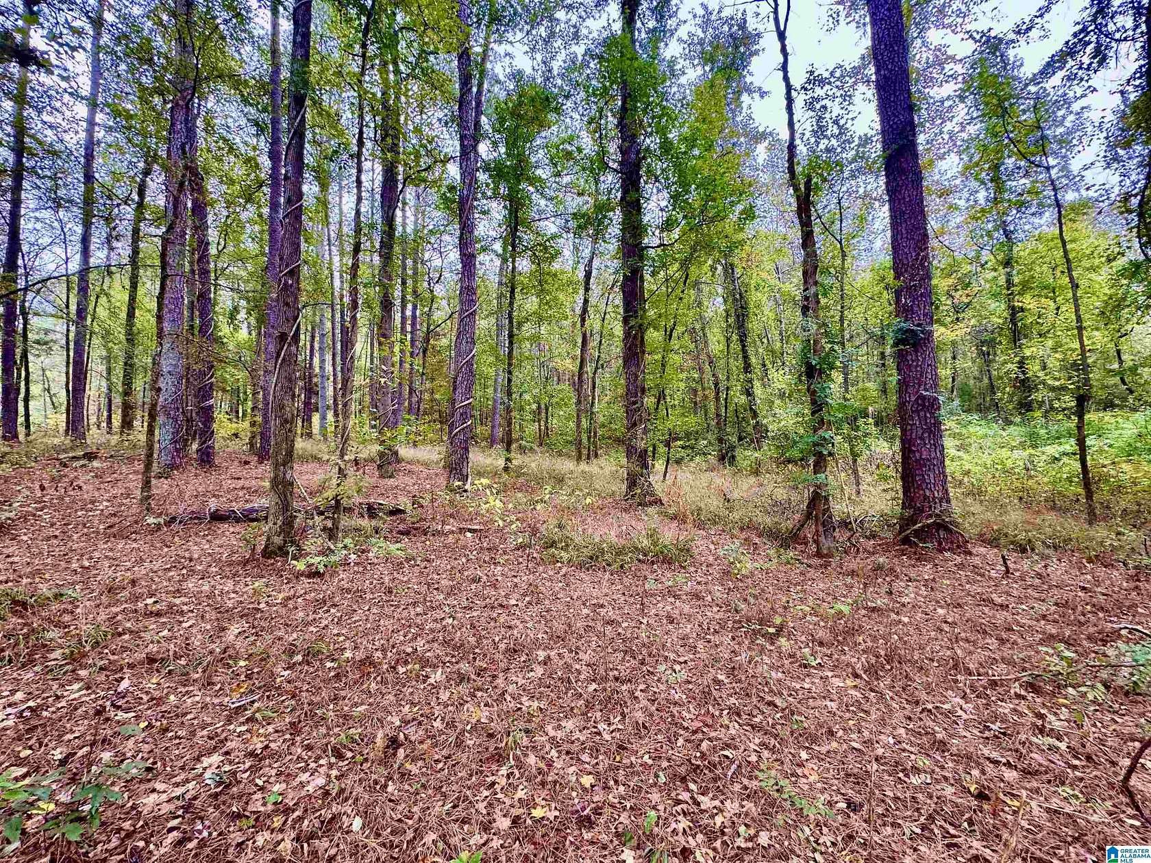 3.6 Acres of Residential Land for Sale in Columbiana, Alabama
