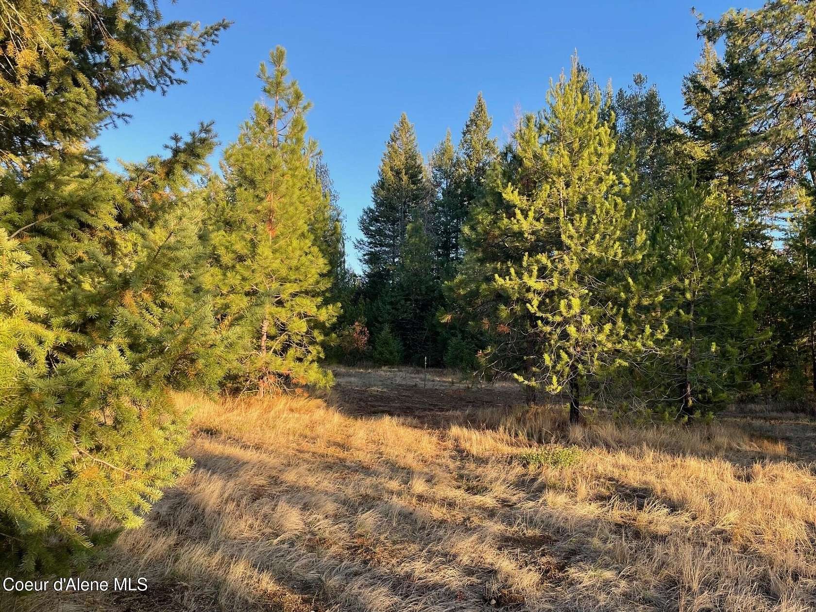 5 Acres of Residential Land for Sale in Rathdrum, Idaho