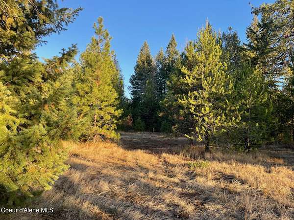 5 Acres of Residential Land for Sale in Rathdrum, Idaho