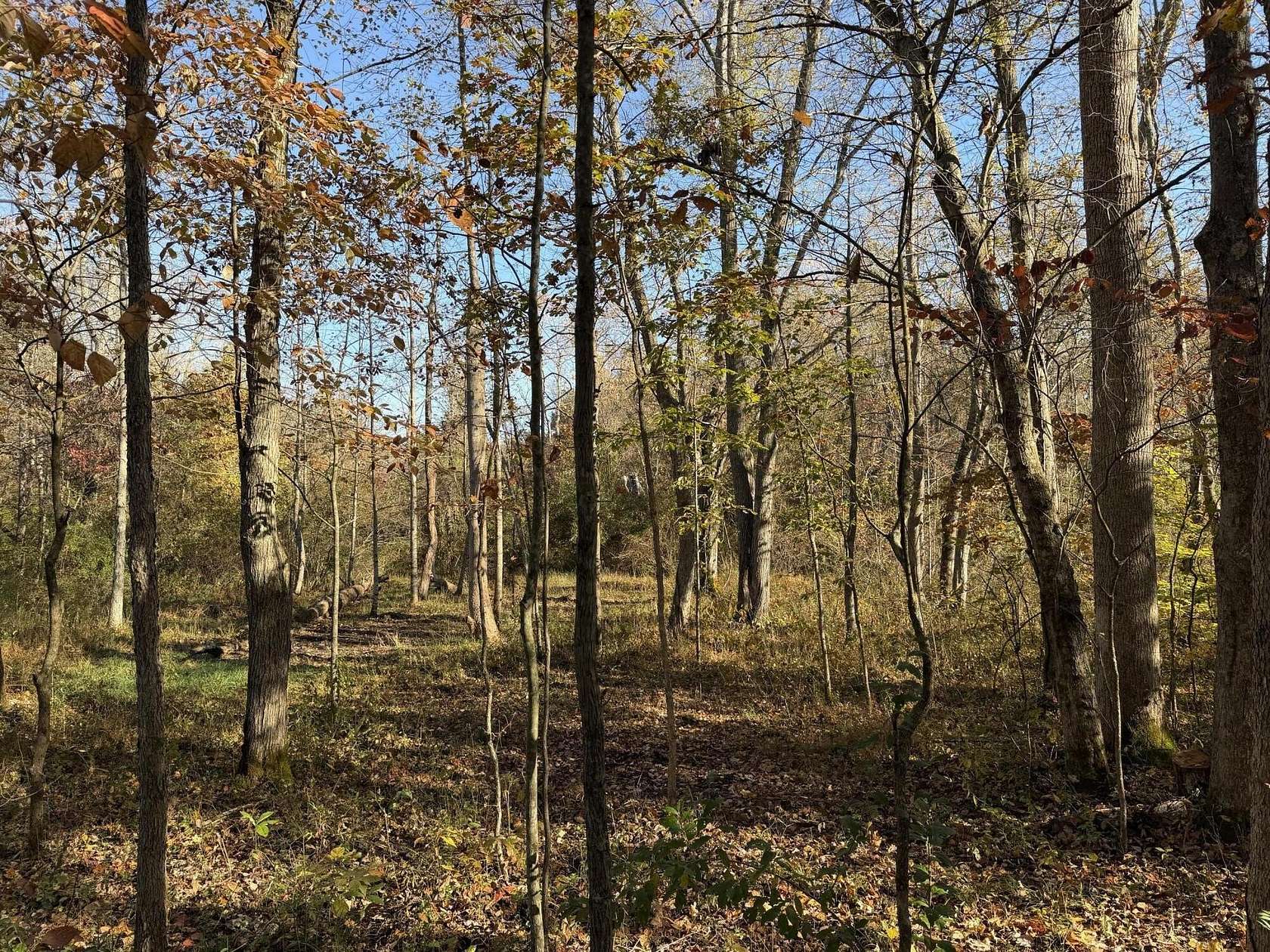 1 Acre of Residential Land for Sale in McKee, Kentucky