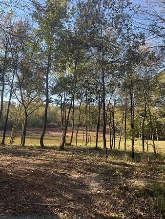 8.78 Acres of Residential Land for Sale in Pittsburg, Texas