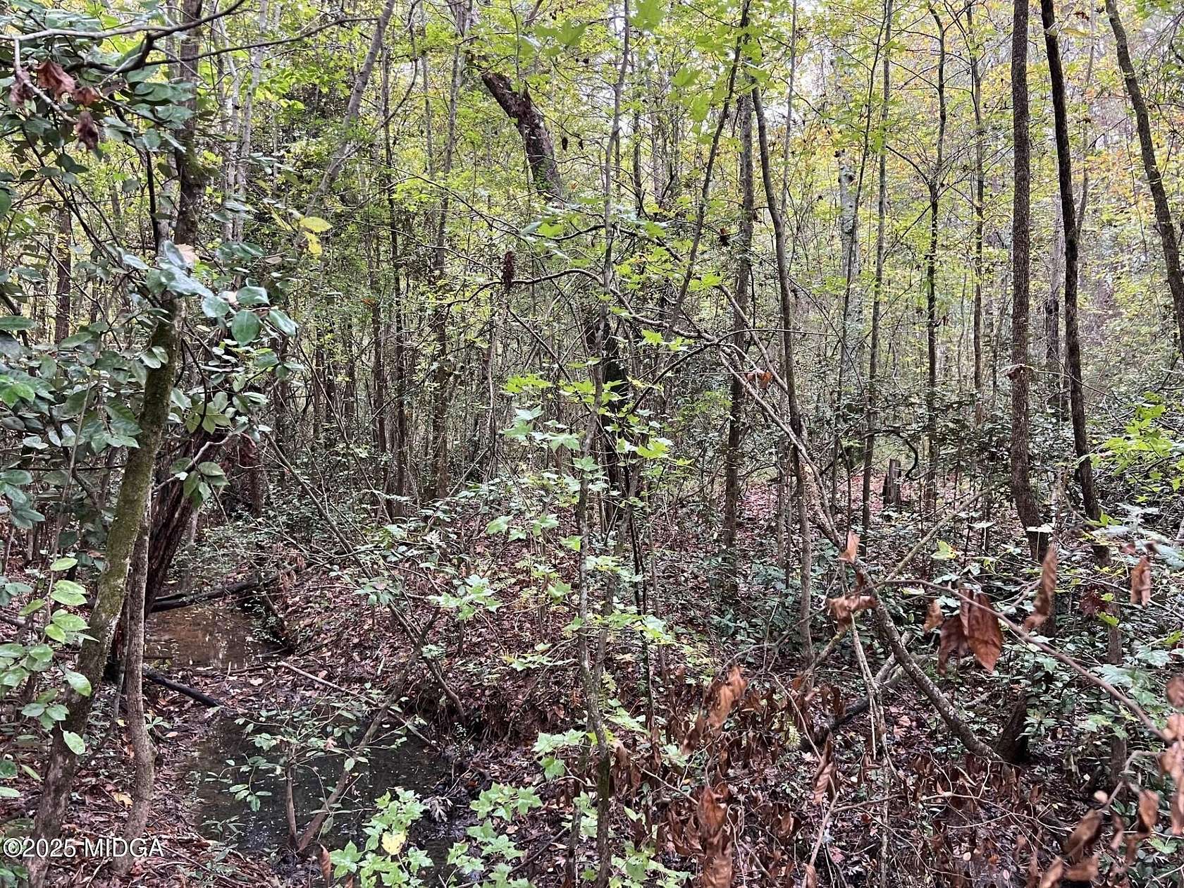 4.1 Acres of Residential Land for Sale in Gray, Georgia