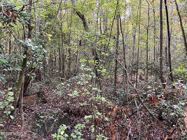 4.1 Acres of Residential Land for Sale in Gray, Georgia