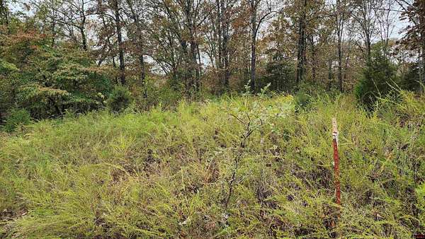 3.15 Acres of Residential Land for Sale in Flippin, Arkansas