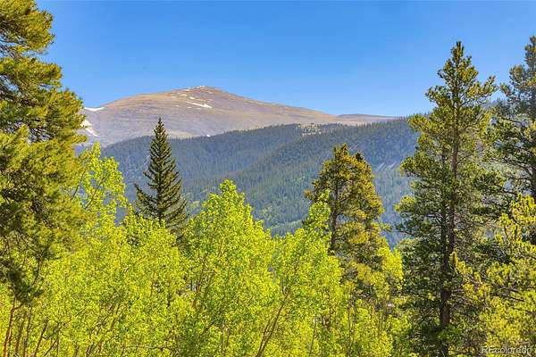 35 Acres of Recreational Land for Sale in Alma, Colorado