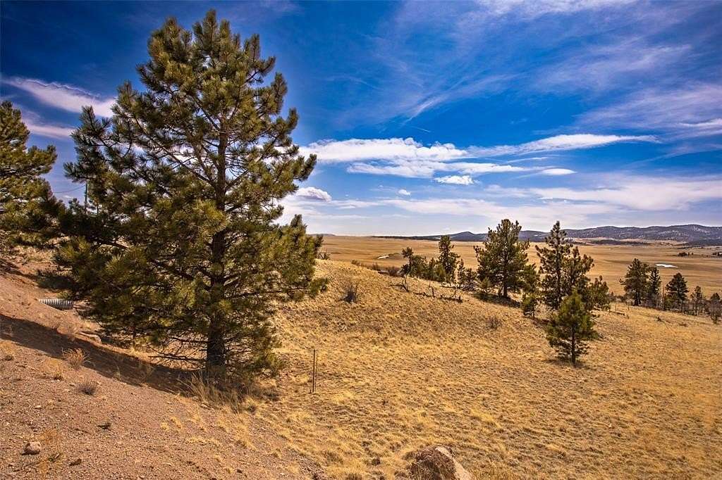 2.5 Acres of Residential Land for Sale in Fairplay, Colorado