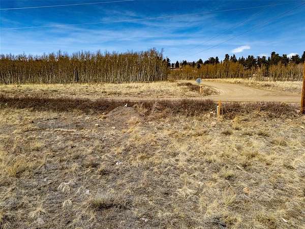 1 Acre of Residential Land for Sale in Fairplay, Colorado