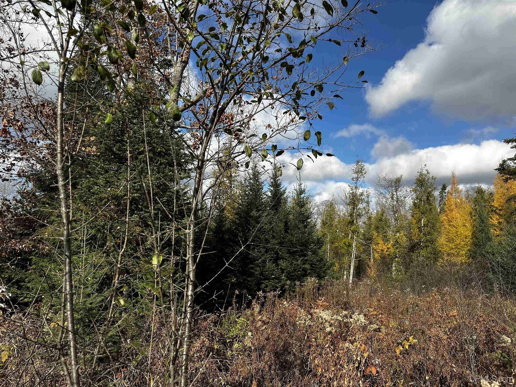 2 Acres of Residential Land for Sale in Foster City, Michigan