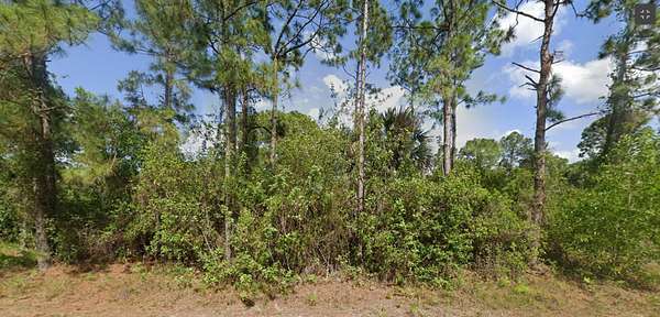 0.24 Acres of Residential Land for Sale in Lehigh Acres, Florida